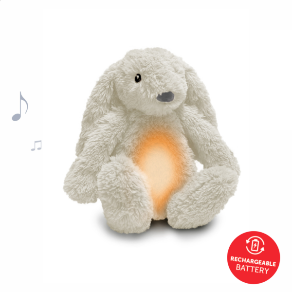 ro rabbit epanafortizomeno lagoudaki bohthhma upnou me aisthhthra klamato kai fw zazu 2 ro rabbit epanafortizomeno lagoudaki bohthhma upnou me aisthhthra klamato kai fw zazu 2