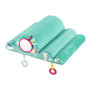 nuage de motricite sophie la girafe (1)