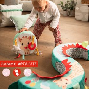 roue de motricite sophie la girafe